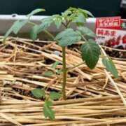 ヒメ日記 2026/04/23 10:37 投稿 ひろみ 完熟ばなな 立川