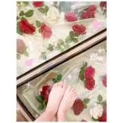 ヒメ日記 2025/05/11 12:48 投稿 うる SCREEN(スクリーン)