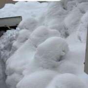 五十鈴（いすず） ⛄️やばかった… 丸妻 錦糸町店