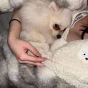 ヒメ日記 2025/01/19 14:48 投稿 赤い蝶々がドリームに舞う。 GOOD-グッド-