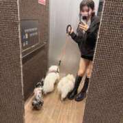 ヒメ日記 2025/10/27 03:25 投稿 赤い蝶々がドリームに舞う。 GOOD-グッド-