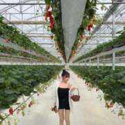 ヒメ日記 2026/03/03 07:41 投稿 赤い蝶々がドリームに舞う。 GOOD-グッド-