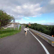 ヒメ日記 2025/12/15 12:06 投稿 晴陽(はるひ) おとなのわいせつ倶楽部 本厚木店