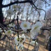 ヒメ日記 2026/02/22 14:56 投稿 晴陽(はるひ) おとなのわいせつ倶楽部 本厚木店