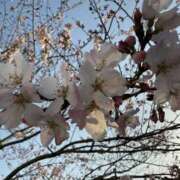 ヒメ日記 2025/03/27 18:48 投稿 KASUMI Big Tits(ビッグティッツ)