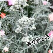 ヒメ日記 2024/12/15 08:46 投稿 れいこ マダム可憐