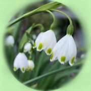 ヒメ日記 2025/04/07 10:27 投稿 れいこ マダム可憐