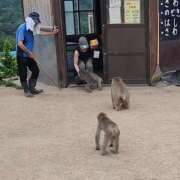 ヒメ日記 2026/05/11 21:12 投稿 さえこ 淫乱痴女エステ　上野店