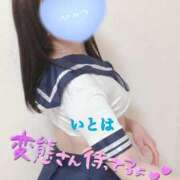 ヒメ日記 2026/08/25 12:50 投稿 いとは 淫乱痴女エステ　上野店