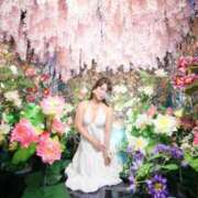 ヒメ日記 2025/06/17 12:47 投稿 あやね 淫乱痴女エステ　上野店