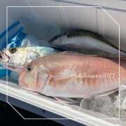 ヒメ日記 2025/04/26 06:53 投稿 ひじり 淫乱痴女エステ　上野店