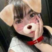 ヒメ日記 2025/11/26 18:13 投稿 双葉（ふたば） 丸妻 錦糸町店