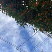 ヒメ日記 2025/10/23 22:26 投稿 かおり コスプレ女帝織姫