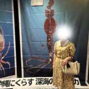 ヒメ日記 2024/12/20 12:31 投稿 キルア秘書 秘書の品格 クラブアッシュ ヴァリエ