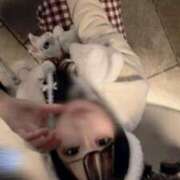 ヒメ日記 2025/02/20 09:26 投稿 ももな 道玄坂クリスタル