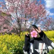 ゆりか【マジで恋するD乳美女】 🌸💕 どMばすたーず 群馬 高崎店