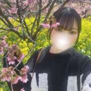 ヒメ日記 2026/04/06 12:12 投稿 ゆりか【マジで恋するD乳美女】 どMばすたーず 群馬 高崎店