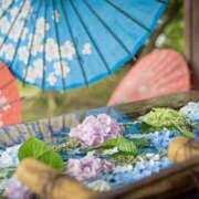 ヒメ日記 2025/03/21 19:02 投稿 みほ 大宮おかあさん