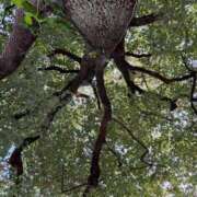 ヒメ日記 2025/05/28 13:51 投稿 みほ 大宮おかあさん