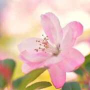 ヒメ日記 2026/04/21 14:15 投稿 みほ 大宮おかあさん