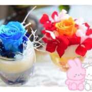 ヒメ日記 2025/07/08 17:29 投稿 みほ 川越おかあさん