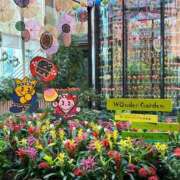 ヒメ日記 2025/10/08 12:21 投稿 まどか 水戸角海老