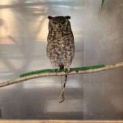 ヒメ日記 2025/05/07 10:50 投稿 あかね 脱がされたい人妻 宇都宮店