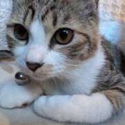 ヒメ日記 2024/12/24 16:21 投稿 しのぶ 那須塩原人妻花壇