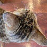 ヒメ日記 2024/12/26 19:12 投稿 しのぶ 那須塩原人妻花壇