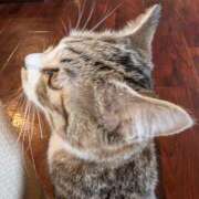 ヒメ日記 2024/12/30 17:03 投稿 しのぶ 那須塩原人妻花壇