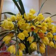 ヒメ日記 2025/01/18 13:52 投稿 しのぶ 那須塩原人妻花壇