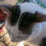 ヒメ日記 2025/01/18 18:57 投稿 しのぶ 那須塩原人妻花壇