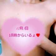 ヒメ日記 2025/12/03 15:15 投稿 ゆうみ 木更津人妻花壇