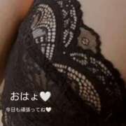 ヒメ日記 2025/12/11 15:07 投稿 ゆうみ 木更津人妻花壇