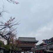 牡丹 浅草日和 東京人妻フォーシーズンズ