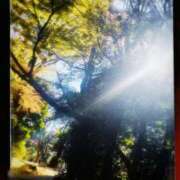 ヒメ日記 2024/12/20 21:00 投稿 もちプルっふわな『おもち』 ESSENCE