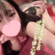 ヒメ日記 2025/01/19 06:37 投稿 もちプルっふわな『おもち』 ESSENCE