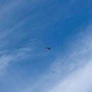 ヒメ日記 2025/05/05 21:31 投稿 もちプルっふわな『おもち』 ESSENCE