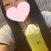 ヒメ日記 2025/07/14 06:00 投稿 もちプルっふわな『おもち』 ESSENCE