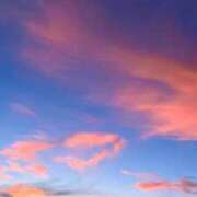 ヒメ日記 2025/07/20 12:15 投稿 もちプルっふわな『おもち』 ESSENCE