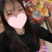 ヒメ日記 2025/07/26 19:32 投稿 もちプルっふわな『おもち』 ESSENCE