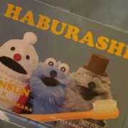 ヒメ日記 2025/11/23 05:31 投稿 もちプルっふわな『おもち』 ESSENCE