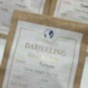 ヒメ日記 2026/01/16 05:09 投稿 もちプルっふわな『おもち』 ESSENCE