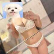 ヒメ日記 2026/02/01 06:00 投稿 もちプルっふわな『おもち』 ESSENCE