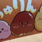 ヒメ日記 2026/06/15 16:15 投稿 もちプルっふわな『おもち』 ESSENCE