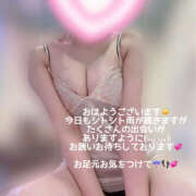 ヒメ日記 2025/04/03 08:49 投稿 やよい ハピネス札幌