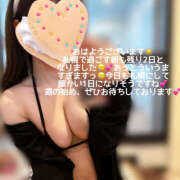 やよい ここのかめっ☆ ハピネス札幌