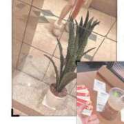 ヒメ日記 2024/12/11 13:43 投稿 ななこ 熟女の風俗最終章 所沢店