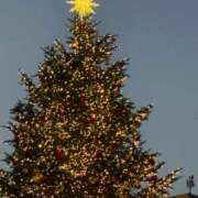 ヒメ日記 2024/12/24 08:41 投稿 さちか Candy×Candy （キャンディ×キャンディ）