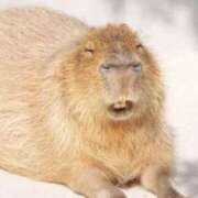 ヒメ日記 2025/04/03 20:06 投稿 ななせ お姉さんSelect